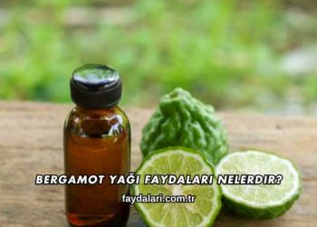 Bergamot Yağı Faydaları Nelerdir?