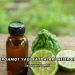 Bergamot Yağı Faydaları Nelerdir?