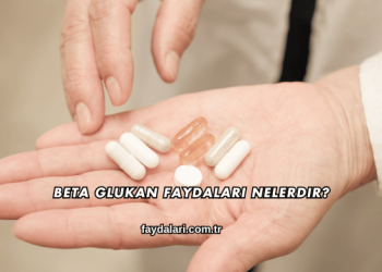 Beta Glukan Faydaları Nelerdir?