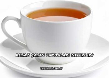 Beyaz Çayın Faydaları Nelerdir?