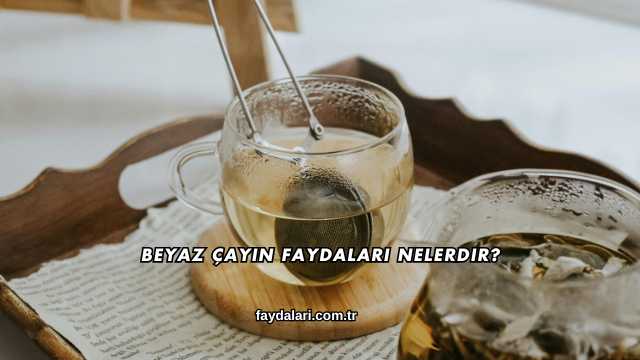 Beyaz Çayın Faydaları Nelerdir?