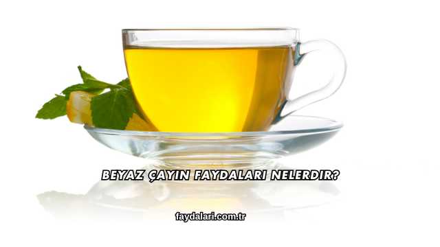 Beyaz Çayın Faydaları Nelerdir?