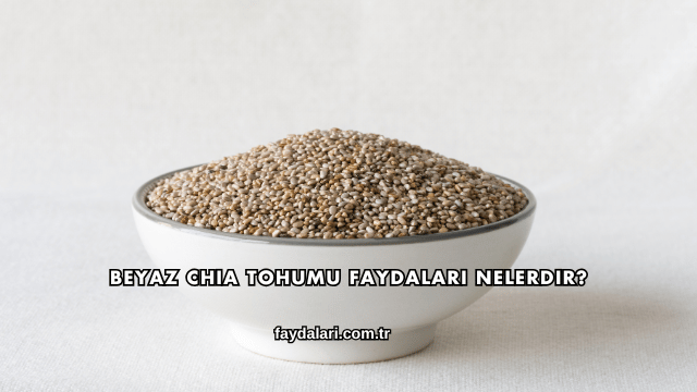 Beyaz Chia Tohumu Faydaları Nelerdir?
