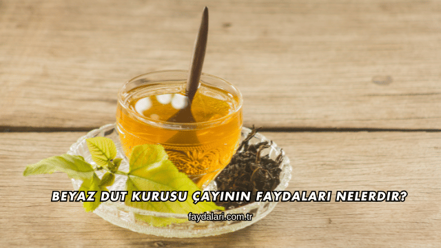 Beyaz Dut Kurusu Çayının Faydaları Nelerdir?