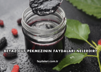 Beyaz Dut Pekmezinin Faydaları Nelerdir?