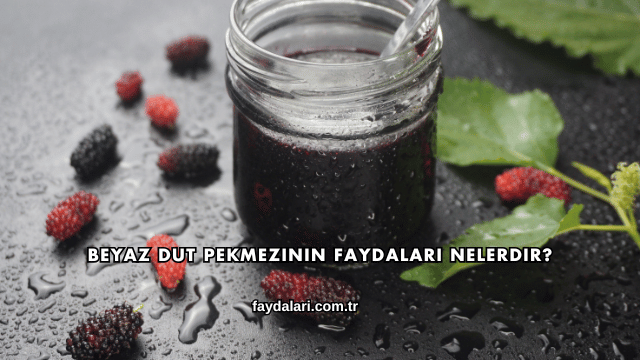 Beyaz Dut Pekmezinin Faydaları Nelerdir?
