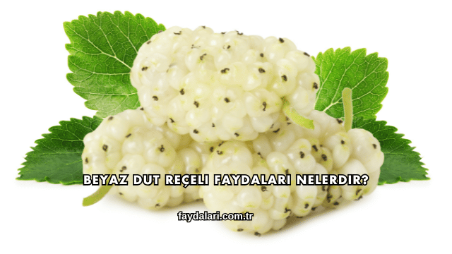 Beyaz Dut Reçeli Faydaları Nelerdir?