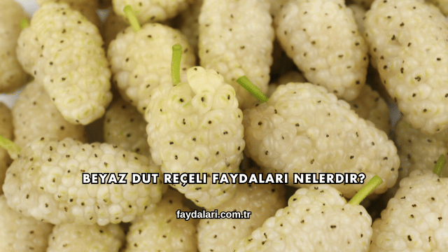 Beyaz Dut Reçeli Faydaları Nelerdir?