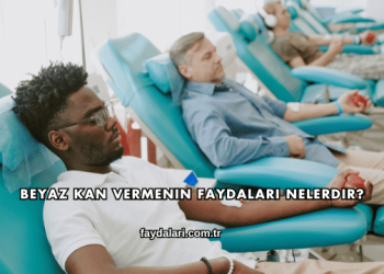 Beyaz Kan Vermenin Faydaları Nelerdir?