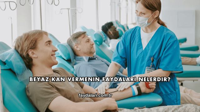 Beyaz Kan Vermenin Faydaları Nelerdir?