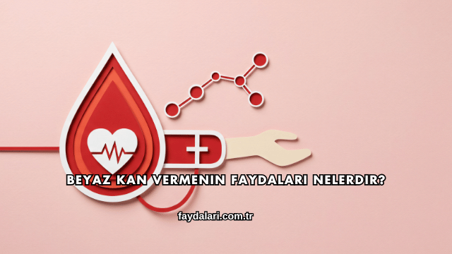 Beyaz Kan Vermenin Faydaları Nelerdir?