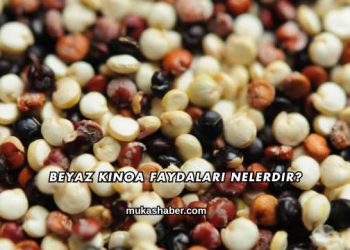 Beyaz Kinoa Faydaları Nelerdir?