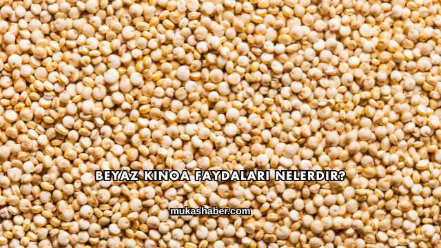 Beyaz Kinoa Faydaları Nelerdir?