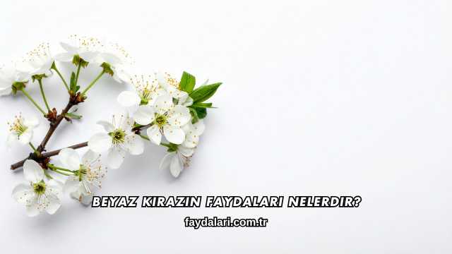 Beyaz Kirazın Faydaları Nelerdir?