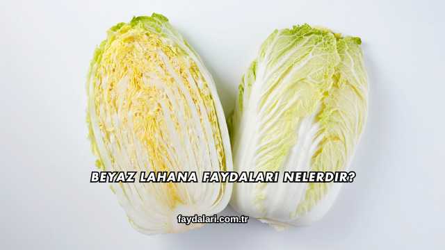Beyaz Lahana Faydaları Nelerdir?
