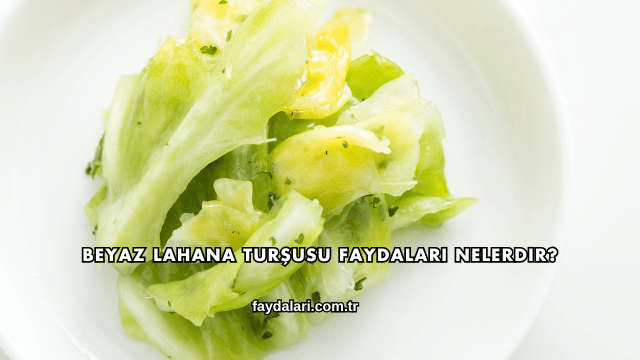 Beyaz Lahana Turşusu Faydaları Nelerdir?