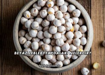 Beyaz Leblebi Faydaları Nelerdir?