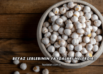 Beyaz Leblebinin Faydaları Nelerdir?