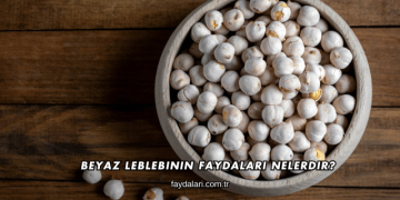 Beyaz Leblebinin Faydaları Nelerdir?