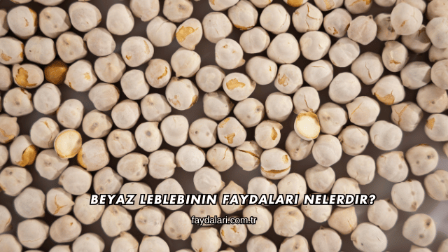 Beyaz Leblebinin Faydaları Nelerdir?