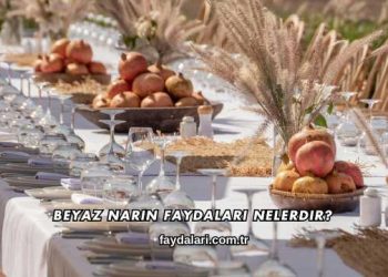 Beyaz Narın Faydaları Nelerdir?