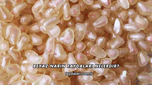 Beyaz Narın Faydaları Nelerdir?