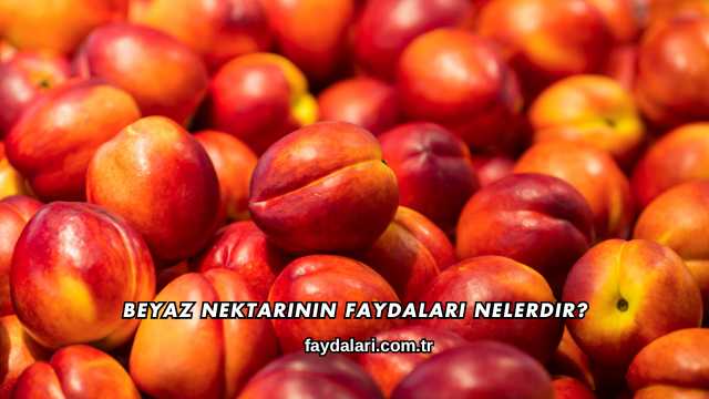 Beyaz Nektarinin Faydaları Nelerdir?