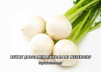 Beyaz Şalgamın Faydaları Nelerdir?