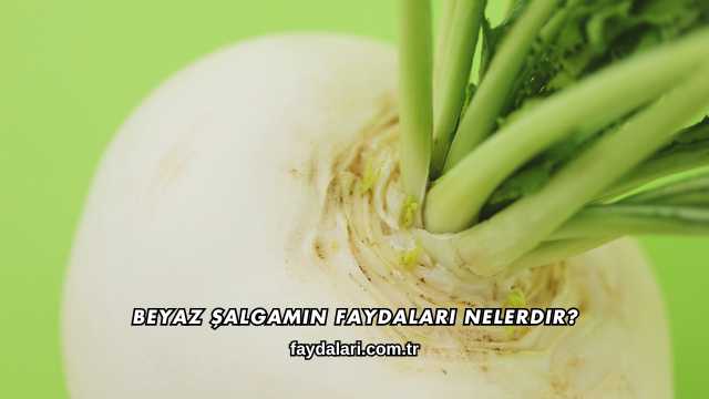 Beyaz Şalgamın Faydaları Nelerdir?