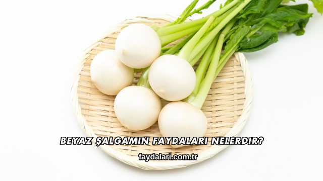 Beyaz Şalgamın Faydaları Nelerdir?