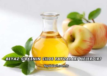 Beyaz Sirkenin Cilde Faydaları Nelerdir?