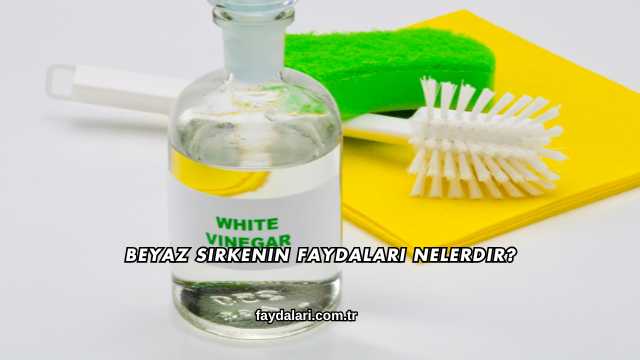 Beyaz Sirkenin Faydaları Nelerdir?