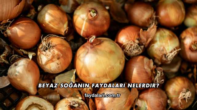 Beyaz Soğanın Faydaları Nelerdir?