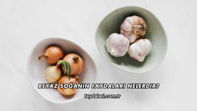 Beyaz Soğanın Faydaları Nelerdir?