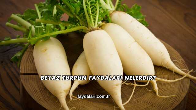 Beyaz Turpun Faydaları Nelerdir?