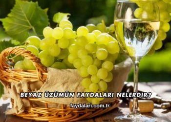 Beyaz Üzümün Faydaları Nelerdir?