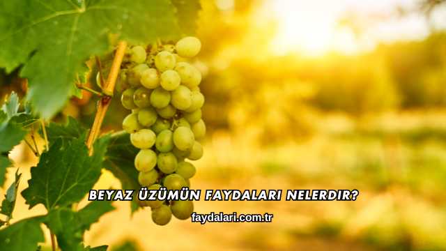 Beyaz Üzümün Faydaları Nelerdir?