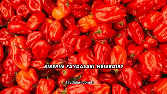 Biberin Faydaları Nelerdir?