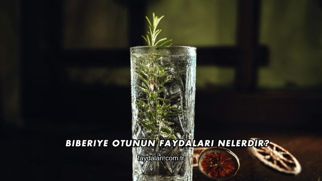 Biberiye Otunun Faydaları Nelerdir?