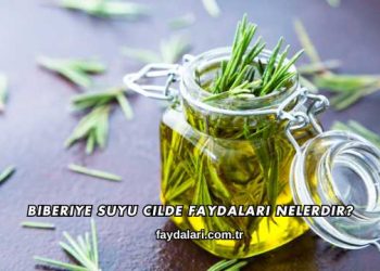 Biberiye Suyu Cilde Faydaları Nelerdir?