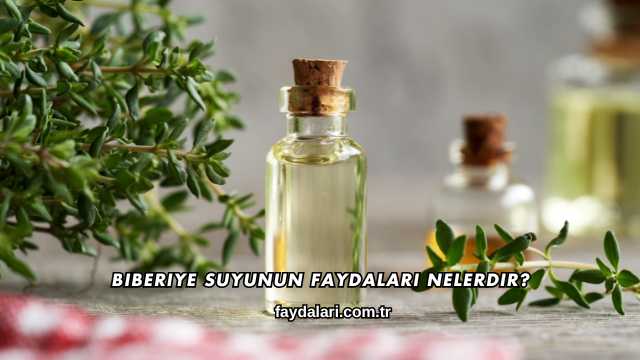 Biberiye Suyunun Faydaları Nelerdir?
