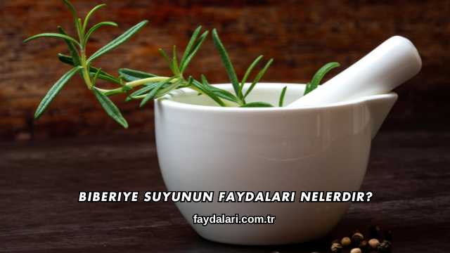 Biberiye Suyunun Faydaları Nelerdir?