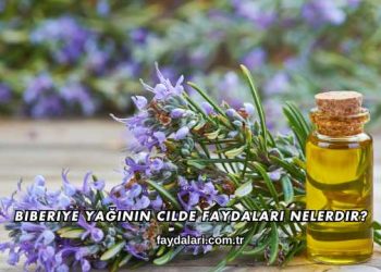 Biberiye Yağının Cilde Faydaları Nelerdir?