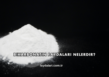 Bikarbonatın Faydaları Nelerdir?