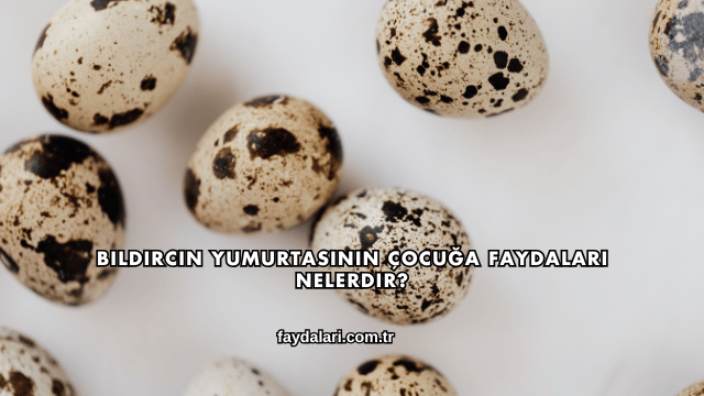 Bıldırcın Yumurtasının Çocuğa Faydaları Nelerdir?