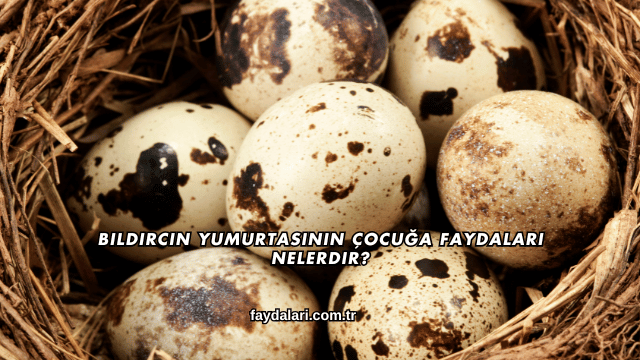 Bıldırcın Yumurtasının Çocuğa Faydaları Nelerdir?
