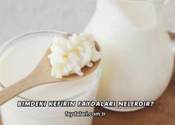 Bimdeki Kefirin Faydaları Nelerdir?