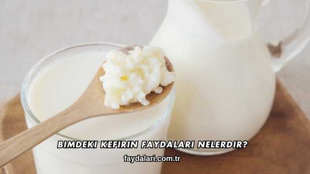 Bimdeki Kefirin Faydaları Nelerdir?