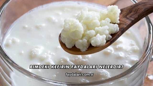 Bimdeki Kefirin Faydaları Nelerdir?
