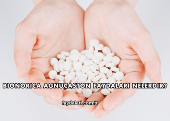 Bionorica Agnucaston Faydaları Nelerdir?